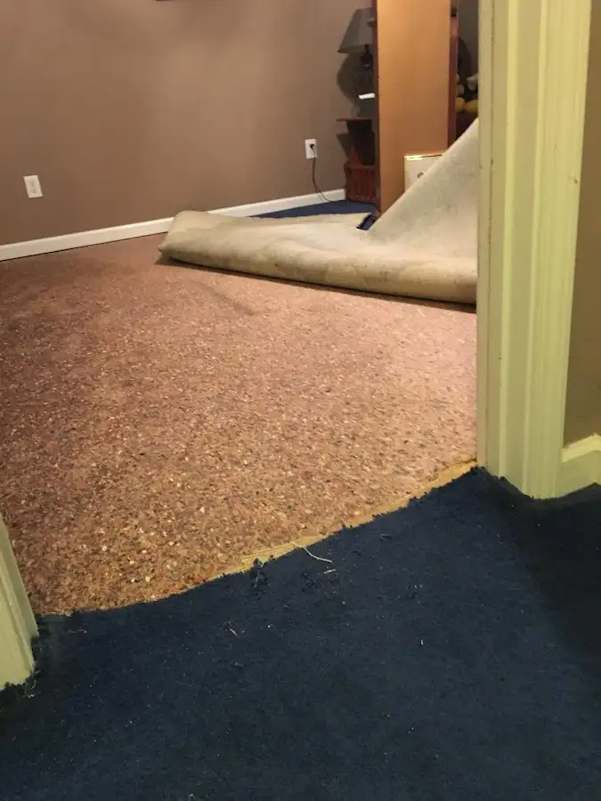 Carpet pad removal revealing water damage during Drying & Dehumidification in Jennings Lodge