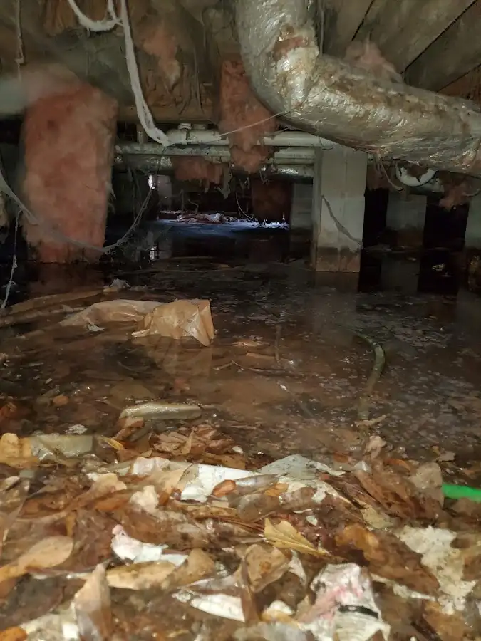 Crawl space flood assessment for Leak Detection & Repair in Jennings Lodge