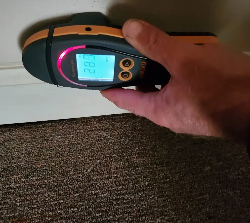 Moisture detection at baseboard during Mold Inspection & Testing in Jennings Lodge